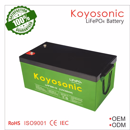 48V 50Ah 100Ah 200Ah リチウム電池ラック テスラバッテリー 51.2V LiFePO4 リチウムイオン電池 2.5kWh 5kWh 10kWh 15kWh テレコム UPS リチウムイオン家庭用蓄電池